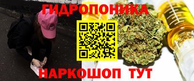 бошки Вышний Волочёк